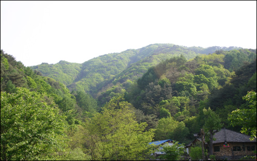 매화산의 신록 (2) 